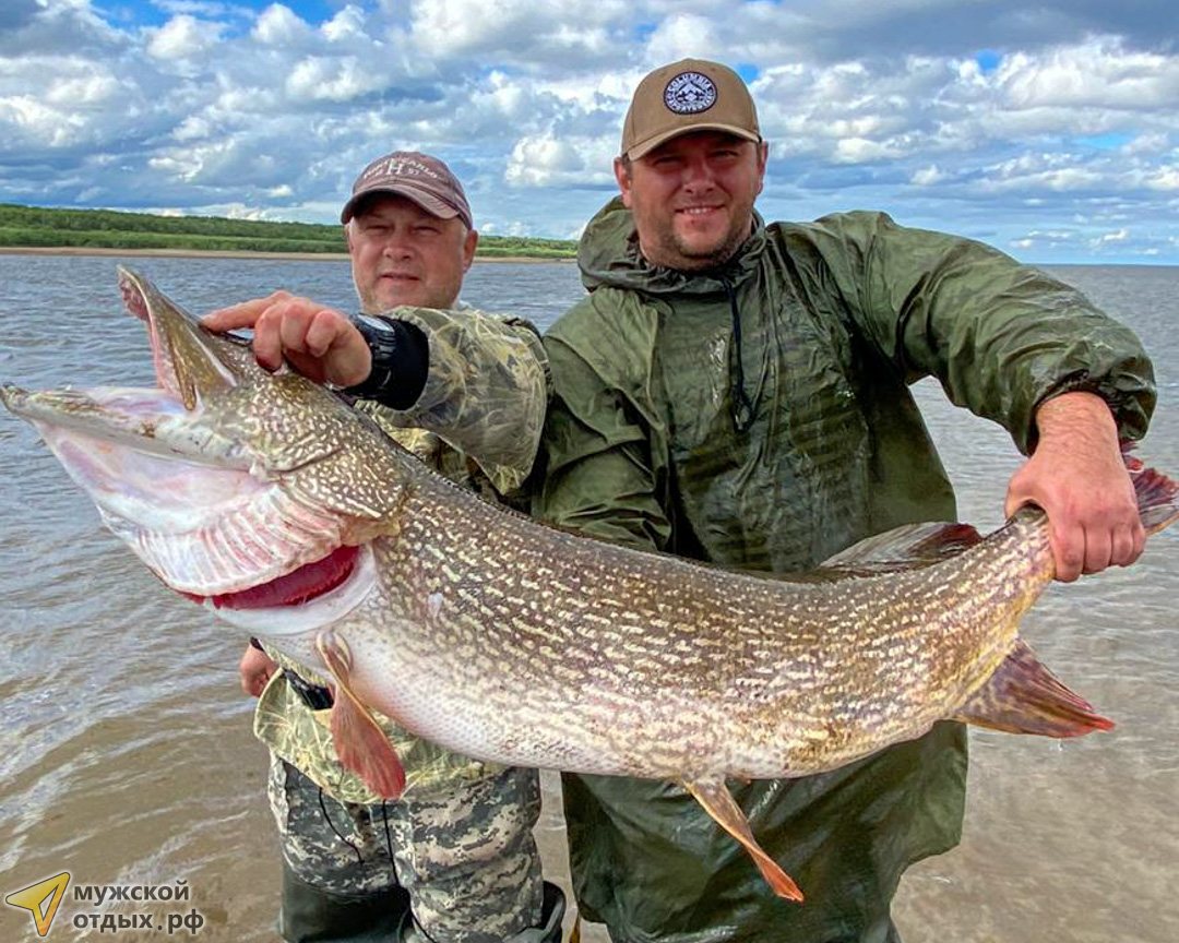 Pike