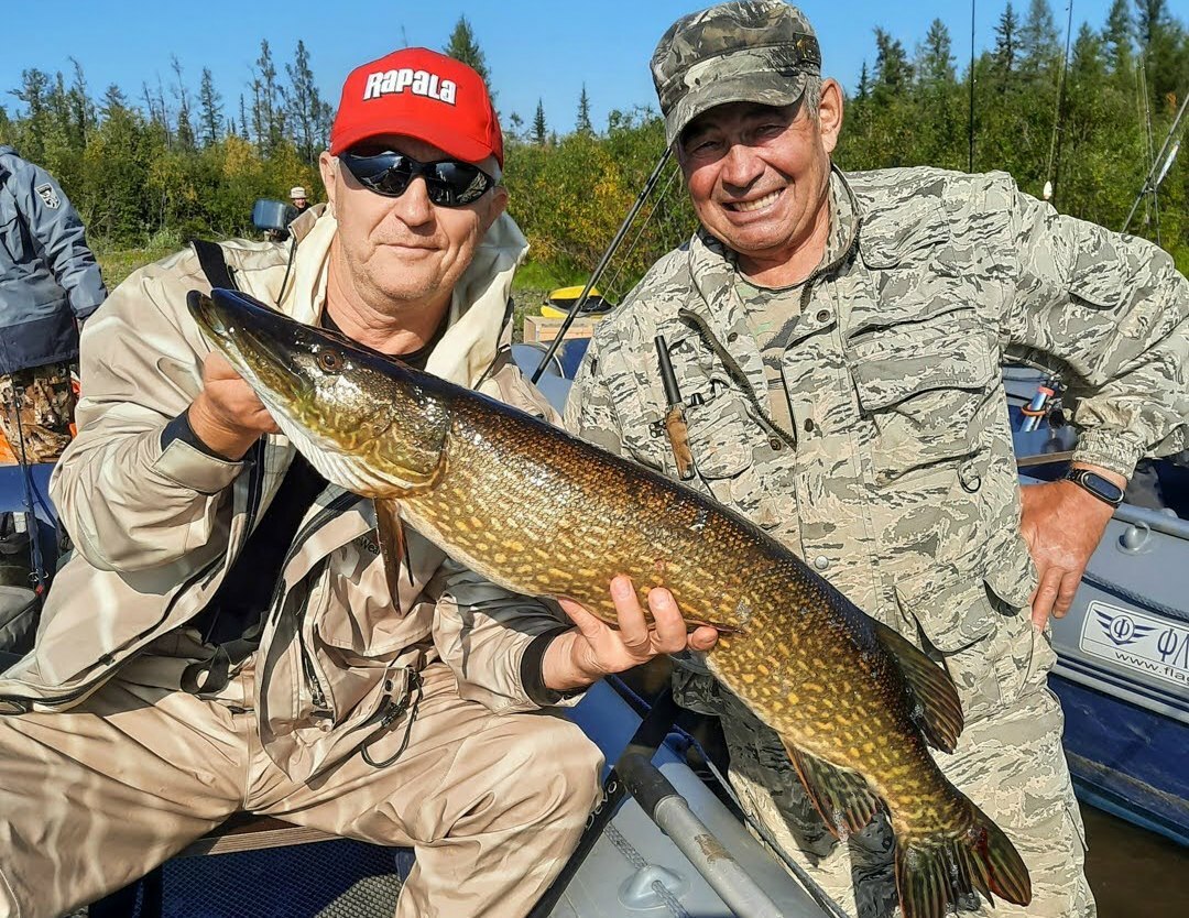 Pike