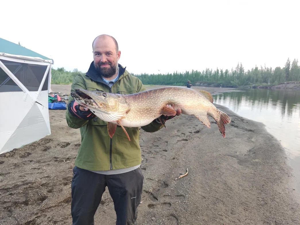 Pike