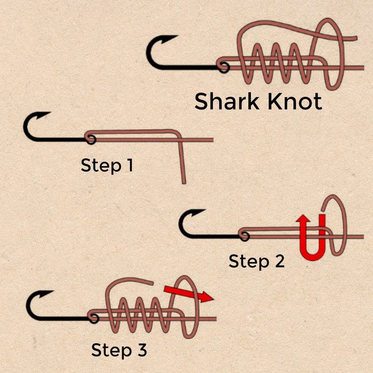 shark knot