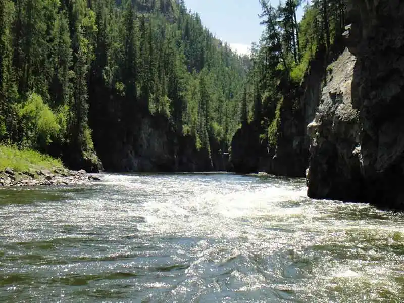 Taimen fishing in Tuva