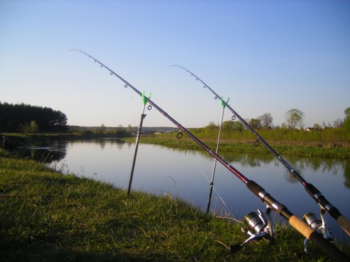 Assembling a Feeder Fishing Rig: A Complete Guide for Beginners