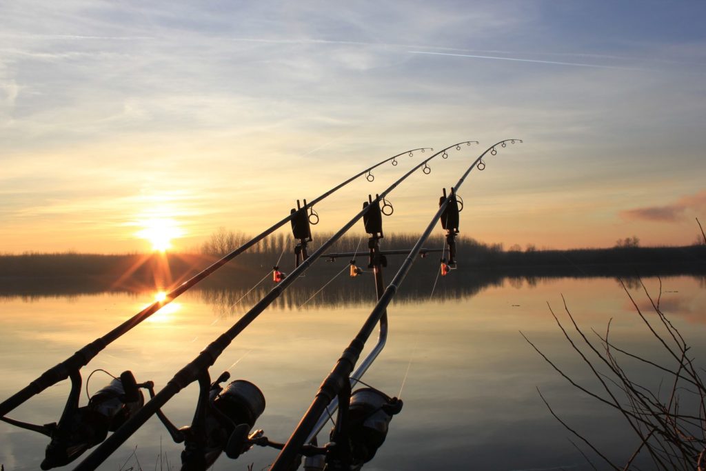 Carp fishing for beginners - basic equipment and first trips. Carp fishing is a discipline in itself.