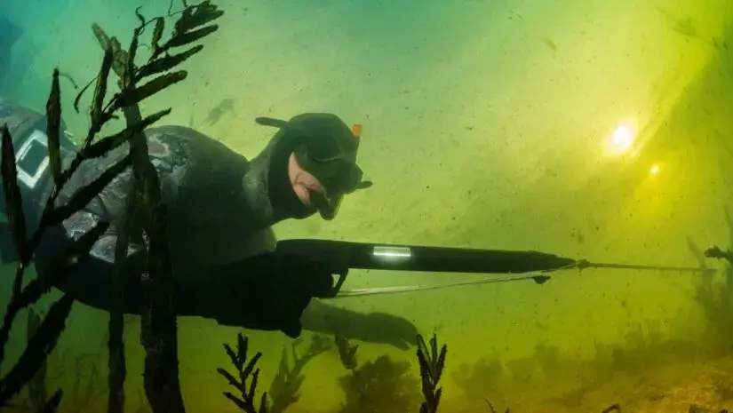 Underwater Predator Hunting: Equipment and First Steps for Beginners