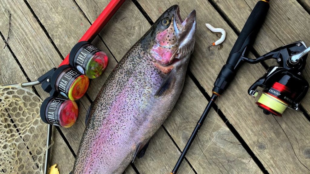 Fishing techniques and tactics