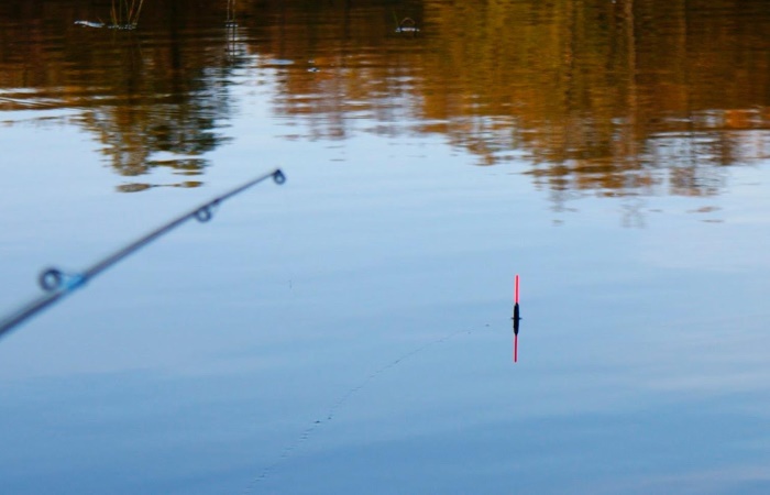 Choosing a float rod for fishing in the current: length, materials, and testing