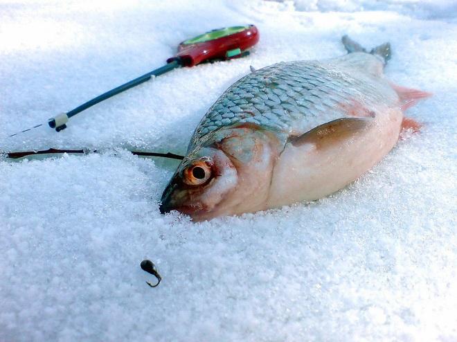 Winter fishing with a jig: technique and choosing a nod
